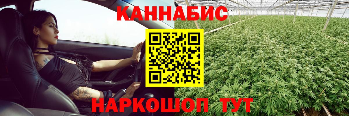 Бошки марихуана семена Ступино